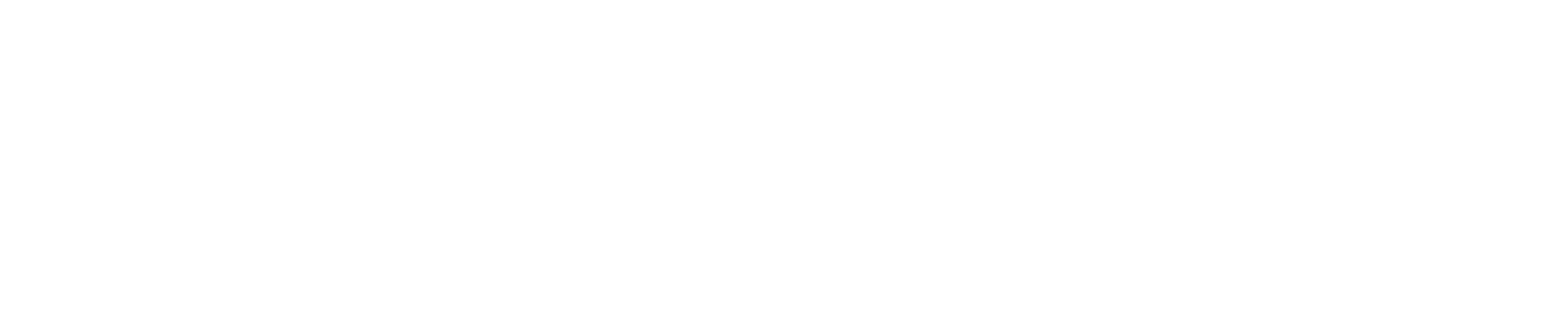 ZENITA